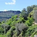 Condado De San Martin Boltaña