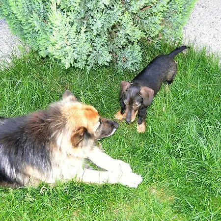 Condado De San Martin Boltaña