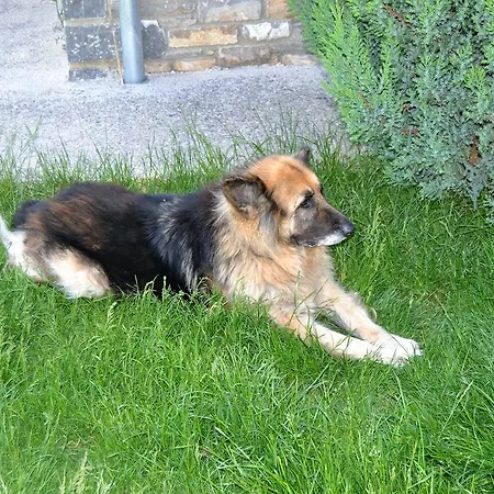 Condado De San Martin Apartman *