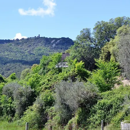 Condado De San Martin Boltaña