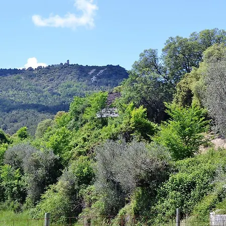 Condado De San Martin Boltana