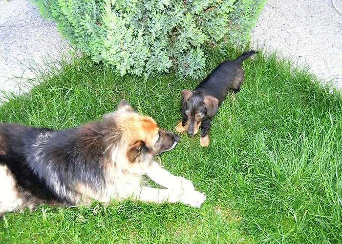 Condado De San Martin בולטניה