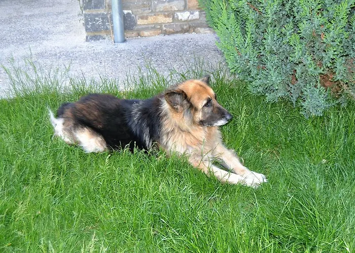 Condado De San Martin Apartman *